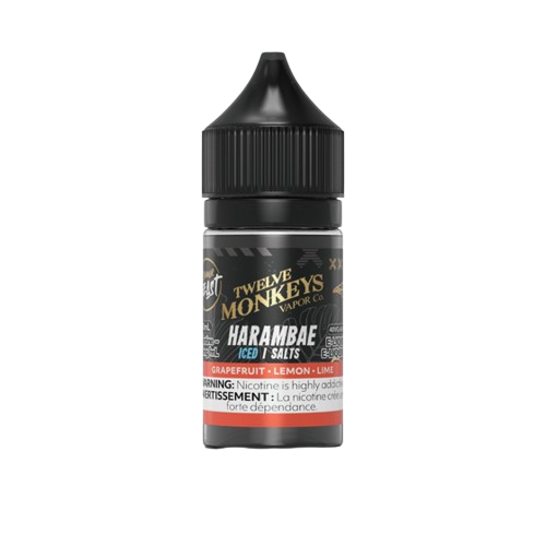 flavourbeast-el-oct2025-render-btl_20mg-harambae_1-removebg-preview